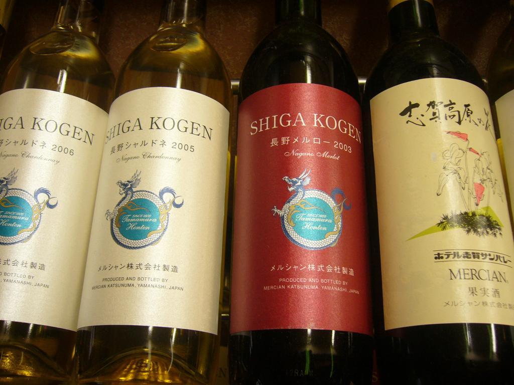 Shiga Kogen Hotel Shiga Sunvalley Yamanouchi  Εξωτερικό φωτογραφία