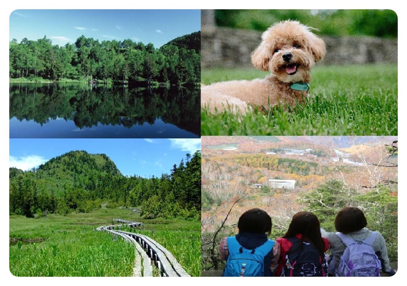 Shiga Kogen Hotel Shiga Sunvalley Yamanouchi  Εξωτερικό φωτογραφία