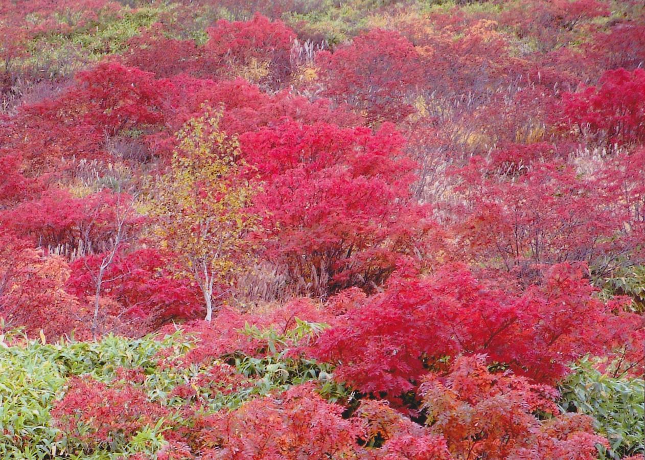 Shiga Kogen Hotel Shiga Sunvalley Yamanouchi  Εξωτερικό φωτογραφία